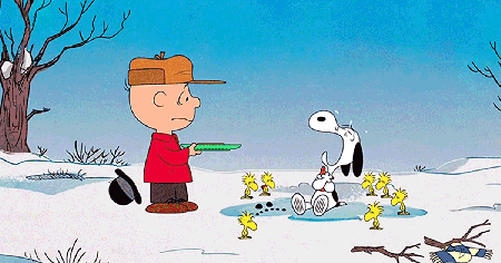 The Snoopy Show